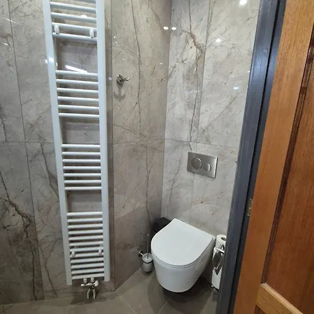 Oud-bommerich Holiday home